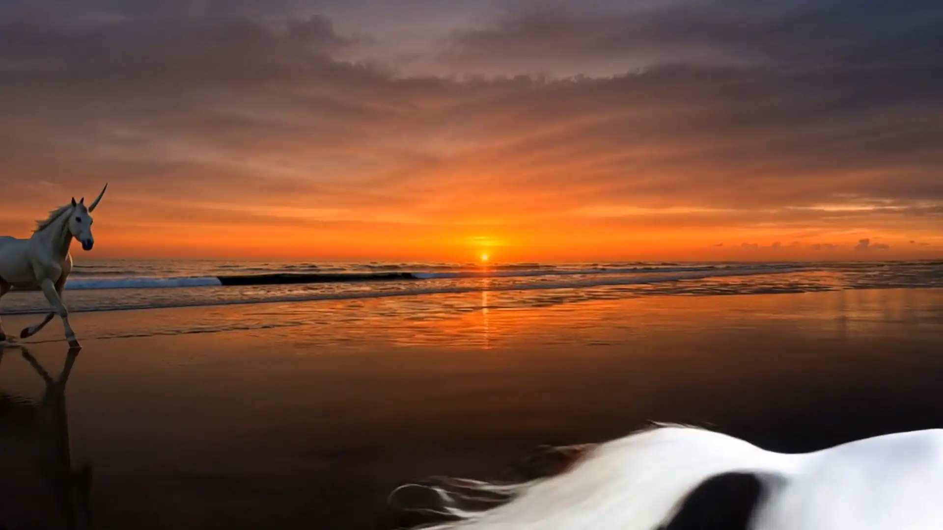 Изображение 2 из проекта Unicorn